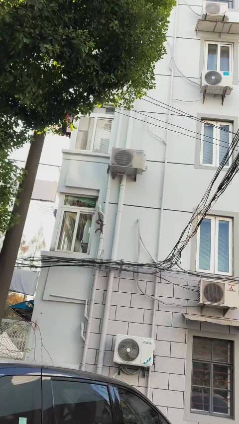 松鼠打群架，碟中谍版Bgm 是不是更带感了？