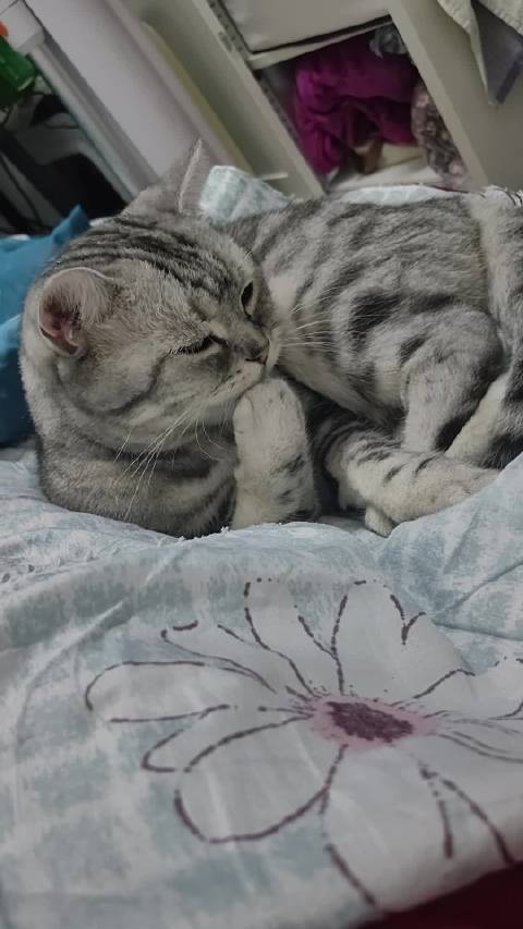 次手手一级选手，可以跟朱一龙交流一下