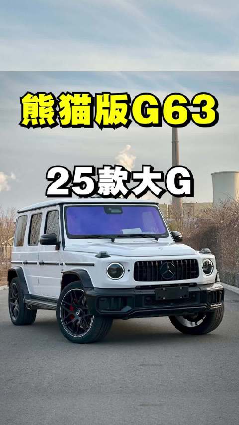 G450d改装指南：熊猫版方案与年底韩版价格解析