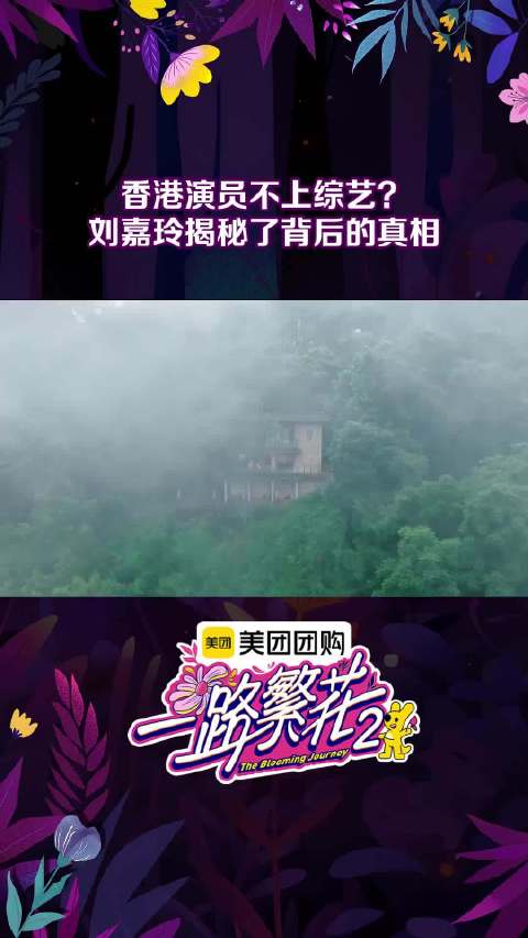 刘嘉玲揭秘香港演员拒综艺为保持神秘感