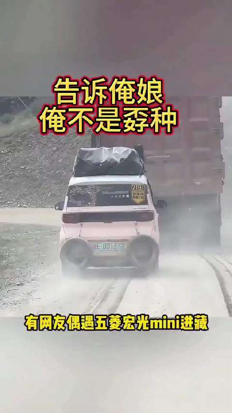 五菱宏光mini：告诉俺娘，俺不是孬种