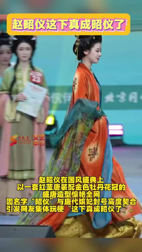 这下真成昭仪了 适配度满分