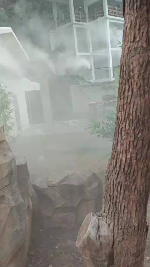 虫洞新的装修很像西游记的场景，猪猪要扛着钉耙出来了的感觉