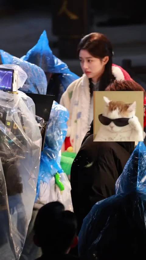 又是熬大夜的叶平君 辛苦啦@徐若晗cici 期待玉簟秋 来源见水印