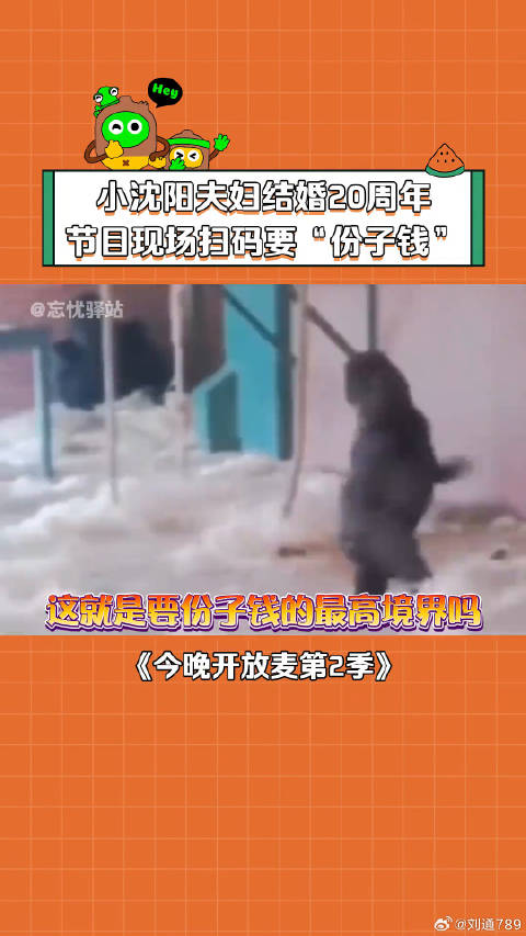 好好好，原来随份子还能这么玩是吧 沈春阳 柳岩 今晚开放麦第2季