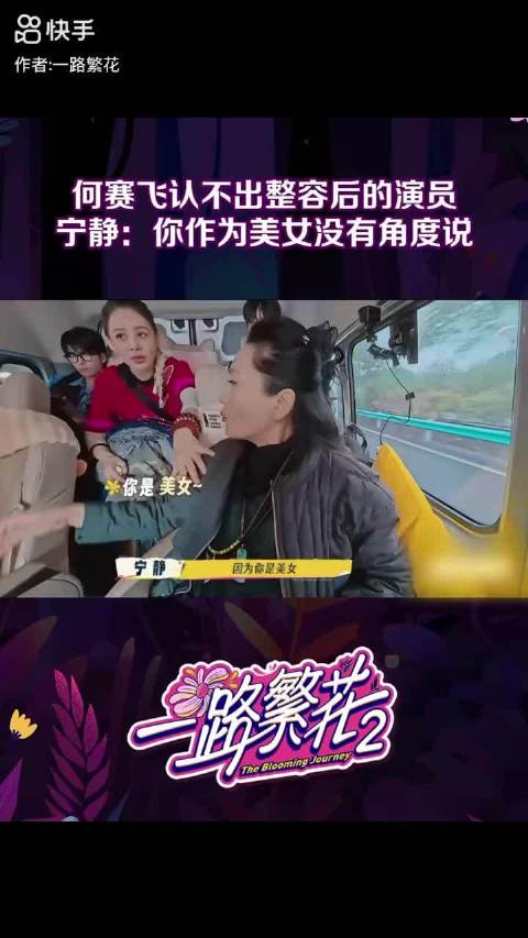 何赛飞爆料整容 撕开娱乐圈假面