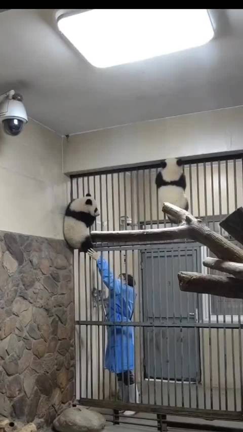 萌兰看了都得感动哭，越狱事业前仆后继，代代相传不停歇 来源：滚滚日常