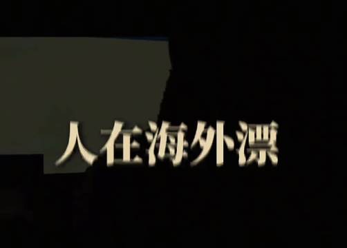 蓝战非南非遭绑架胁迫转账108万，中国大使馆介入