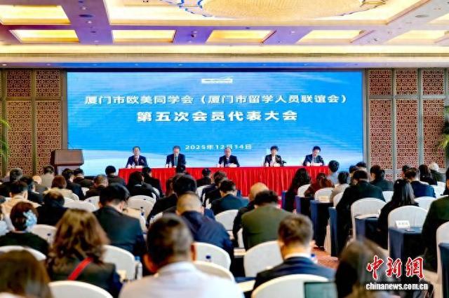 图为大会现场。中新网记者 李思源 摄