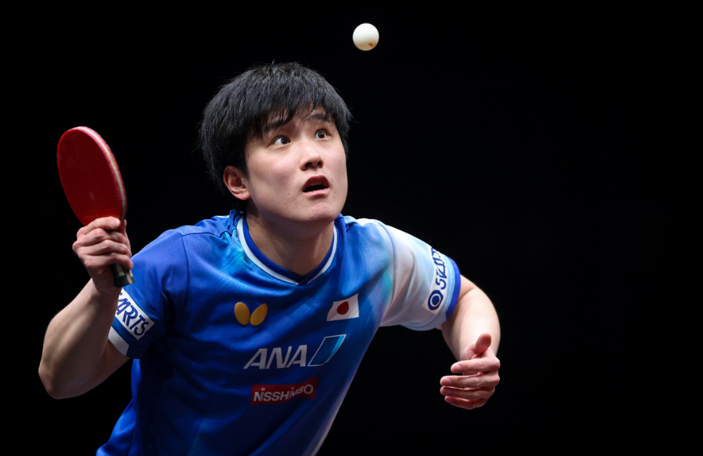 张本智和WTT夺冠！父母都是前国乒队员，曾被许昕打到失声痛哭