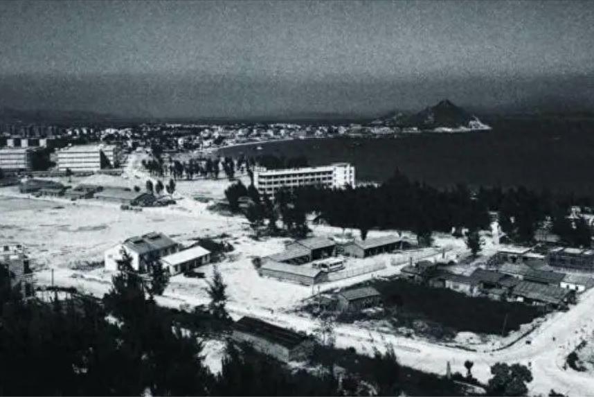 38岁登福布斯富豪榜，63岁签对赌协议求生，海王张思民的25年沉浮