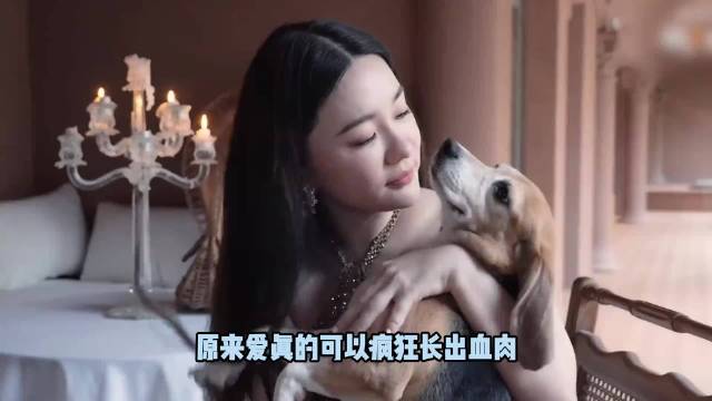 看到霍思燕领养的实验犬前后对比，才明白原来被爱真的能疯狂长出血肉！