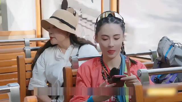 刘嘉玲带领繁花团回香港观光，登太平山顶俯瞰周星驰豪宅