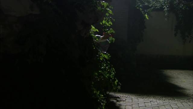 甄嬛传惠贵人戏码败露茯苓被抓血迹曝光