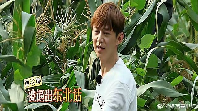 这节目组有多坑人？何炅都被逼出东北话，陈赫更是爆粗口！