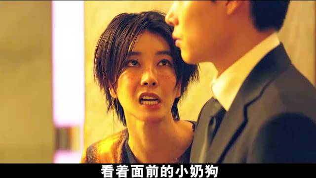 缉毒佛伯乐与毒枭的顶级博弈，一旦稍有差错定会尸骨无存，悬疑片