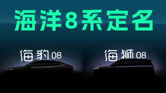 比亚迪海洋网8系正式定名，26年第一季度亮相