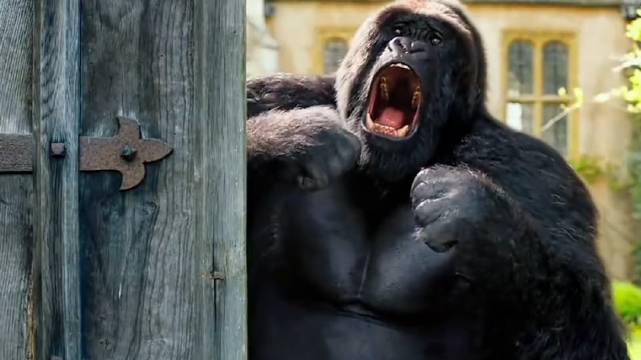 钢铁侠退休后的生活，却是在老家干起兽医的工作