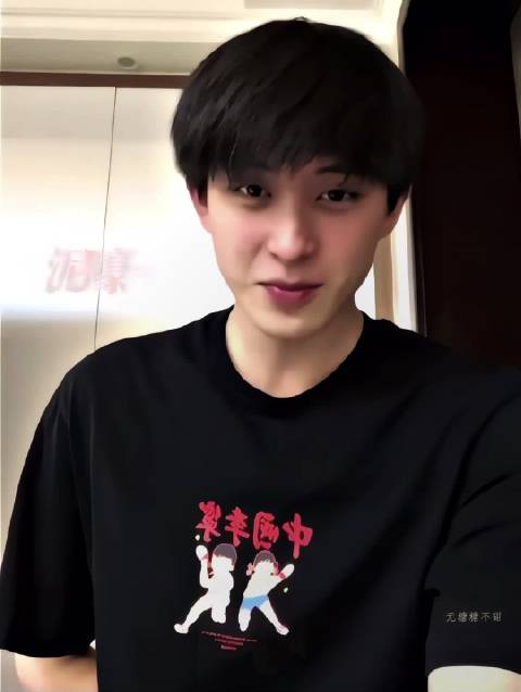 敖瑞鹏抽象艺术春晚级别