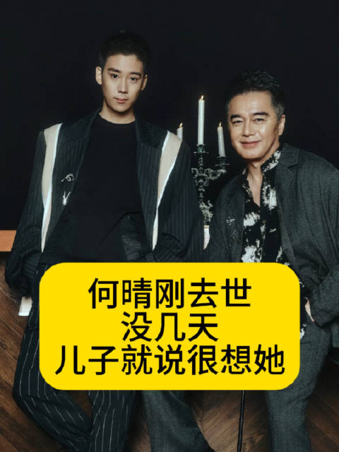 何晴刚去世没几天，儿子就说很想她