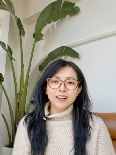 红楼梦不应该被过度解读