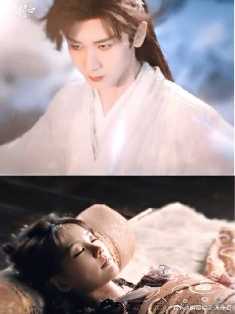 她以命相护，他以心相付