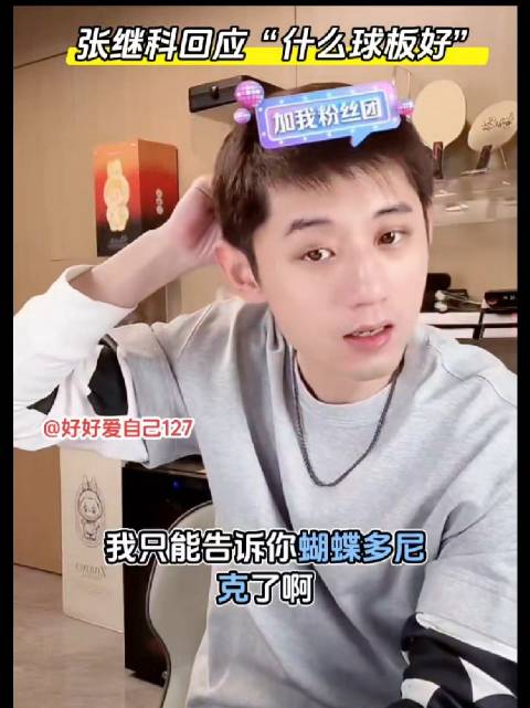 张继科回应球迷“什么球板好”:蝴蝶、多尼克前两位毋庸置疑！
