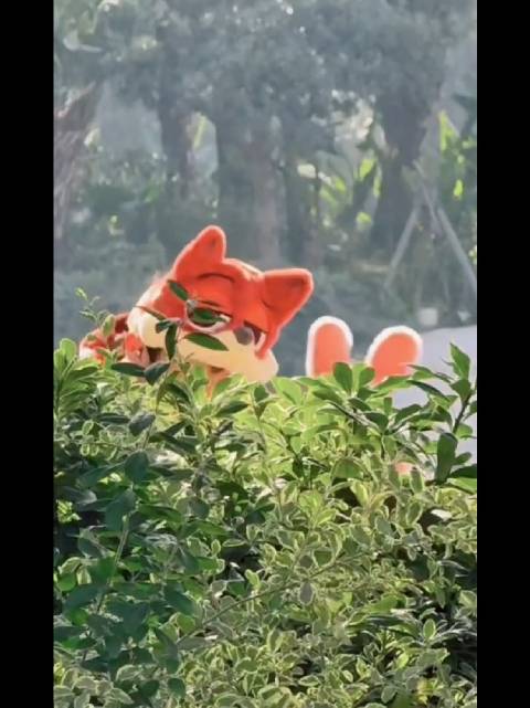 邓超孙俪模仿狐尼克兔朱迪摇头晃脑