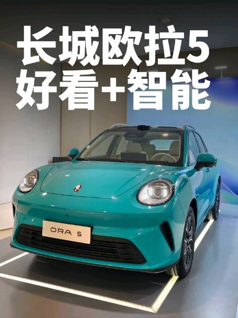 长城欧拉5太给力了，颜值好看，智能化加持，没有对手