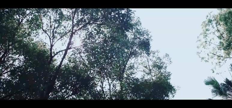 陈妍希造型争议再起，沈佳宜式黑长直被指最适合