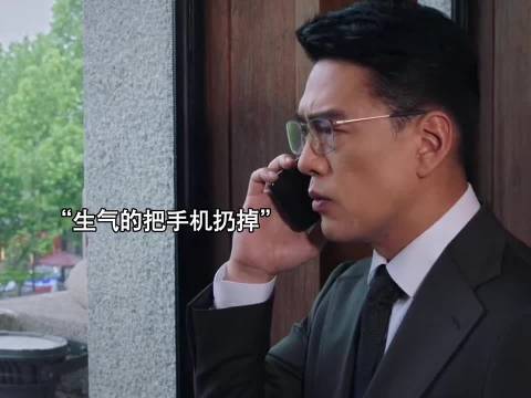 《完美伴侣》高圆圆张鲁一演绎中年夫妻生活