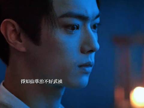 得知连仙草都救不了祯姐，小竹鱼无助的泪目了 许凯‖田曦薇