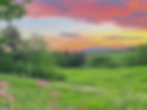 全网三大逆天改命的狗子，前途亮的简直睡不着