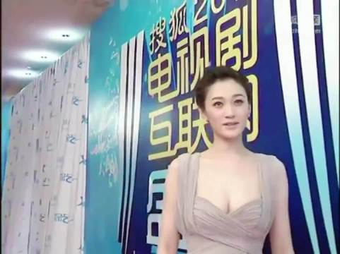 李小冉参加2011电视剧互联网红毯