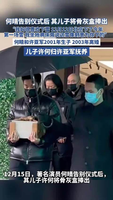 何晴儿子归许亚军抚养