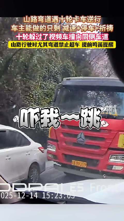 四川阿坝十轮卡车弯道逆行超车致车祸，车主减速避让