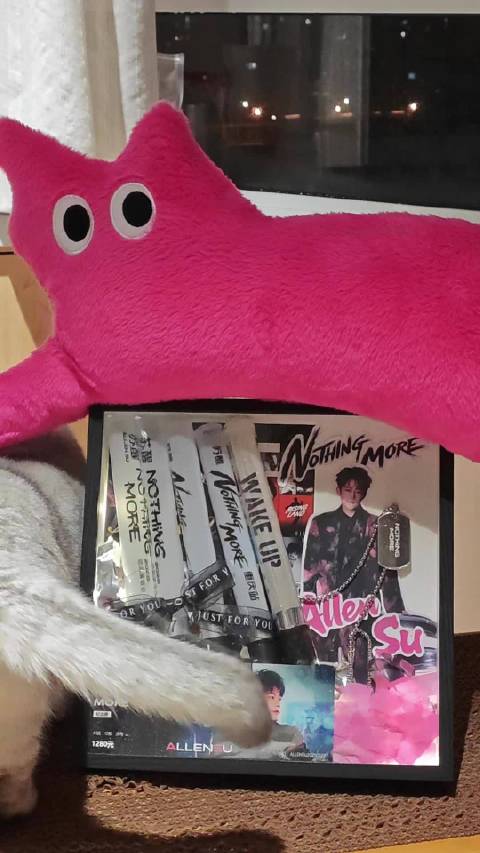 猫猫也喜欢猫猫