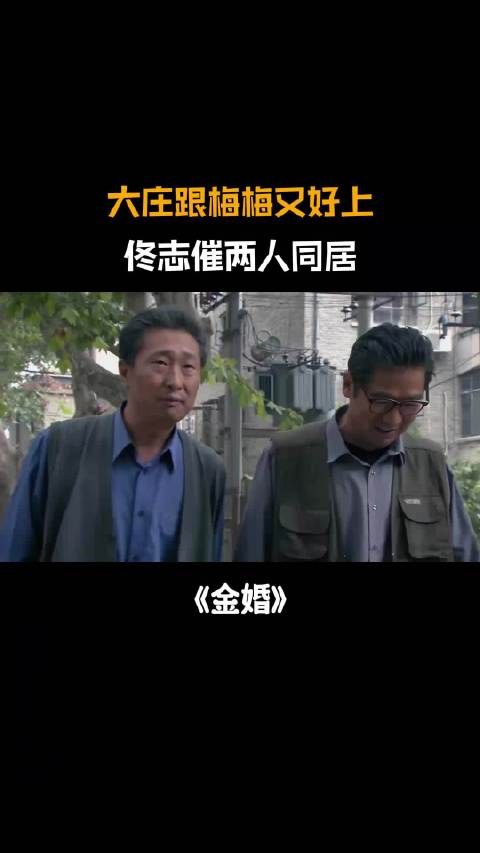 金婚：大庄跟梅梅又好上，佟志催两人同居，大庄还放不下庄嫂