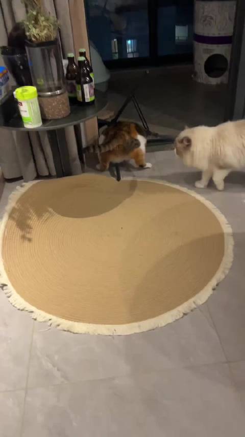 能让你这么活跃的日子很少见 卡车车祸现场@微博iPhone客户端 曝光