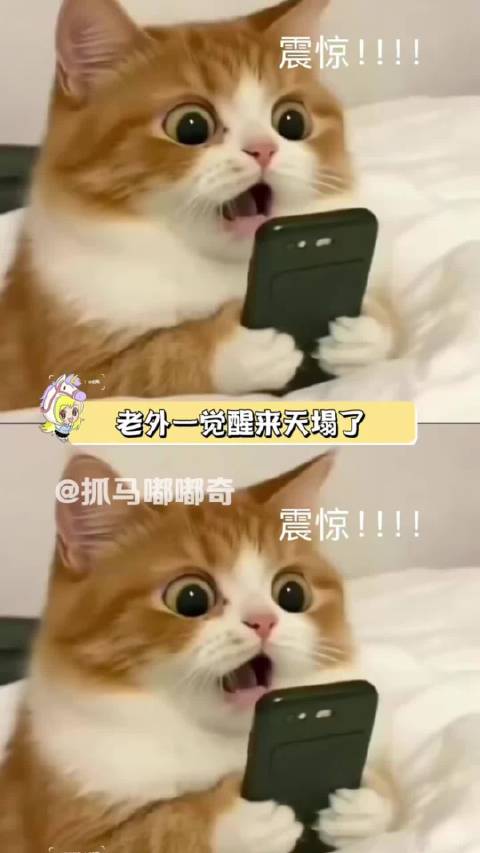 外国人：天塌了，圣诞老人是鳌拜！阿拉丁竟然也是中国人！