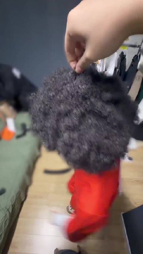 太萌了， 这俩人可爱死了