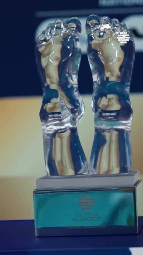 属于2025总冠军陈芋汐&朱子锋的高光时刻 跳水