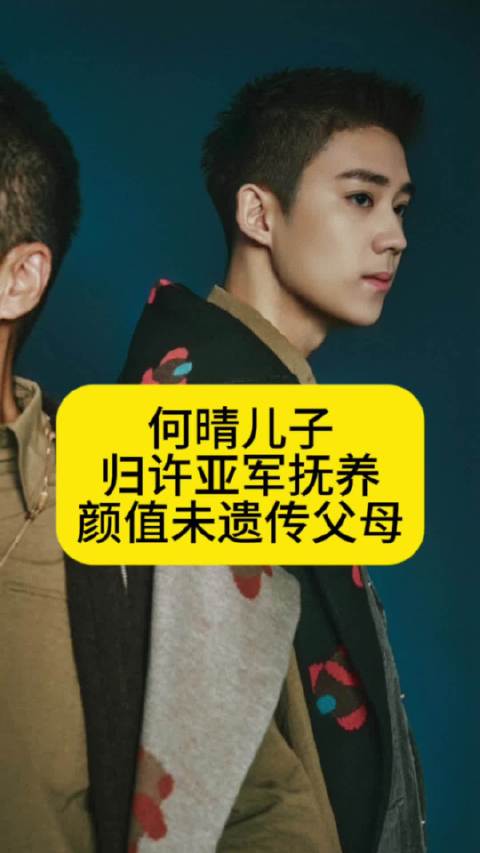 何晴儿子归许亚军抚养，颜值未遗传父母