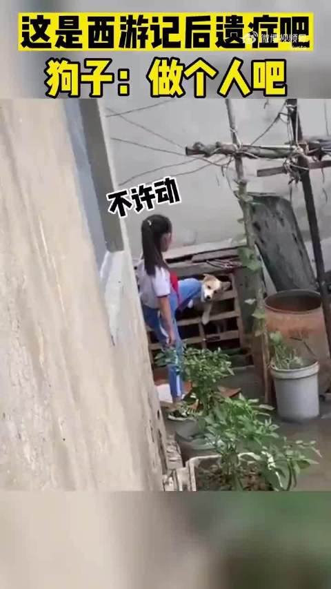 西游记后遗症！孽畜，还不显出原形！ 狗子: 做个人吧！意不意外