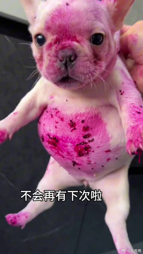 思密马赛妈妈酱 是火龙果先动的手 我俩又没忍住