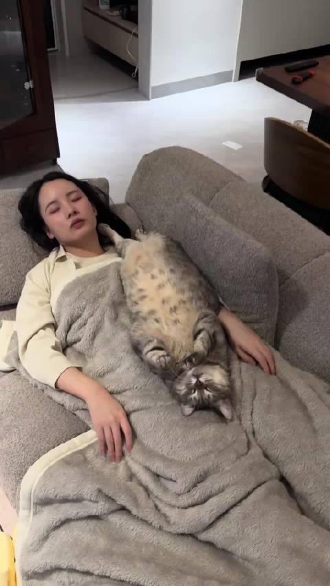 什么家庭啊，怎么还能养海豹