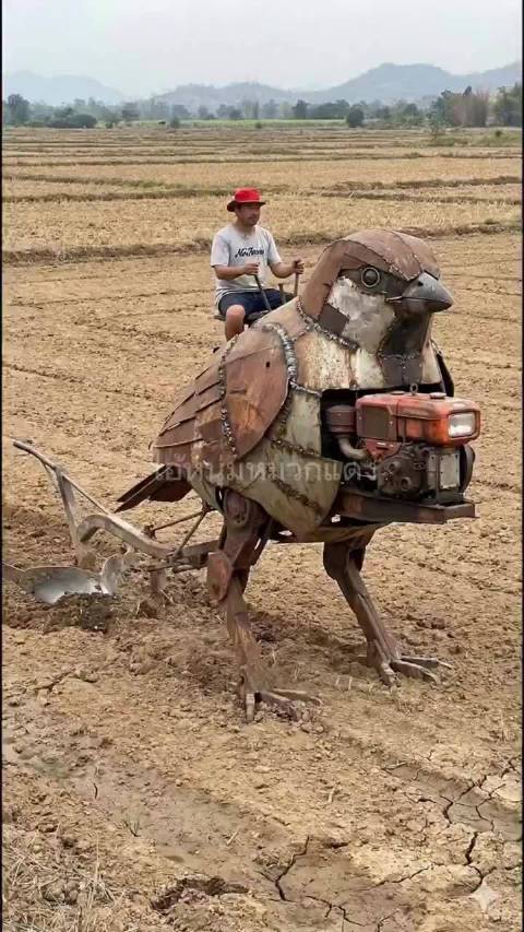 自制机械鸟类拖拉机