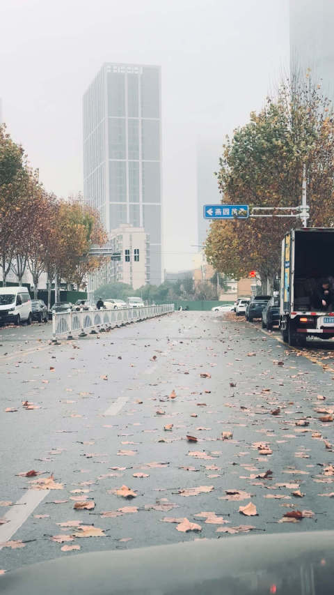 诗人自述厌冬情绪，描绘冬日凋敝景象