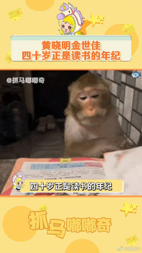 男明星进军学术圈 这也太努力了吧 金世佳 搞笑 微博VC计划