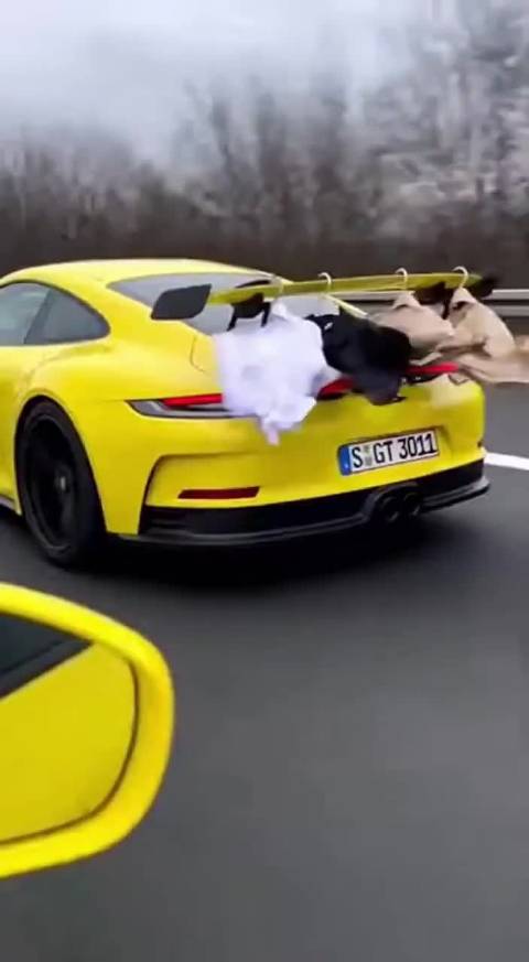 GT3扰流板除了吃饭，还能当晾衣架，而且速干！